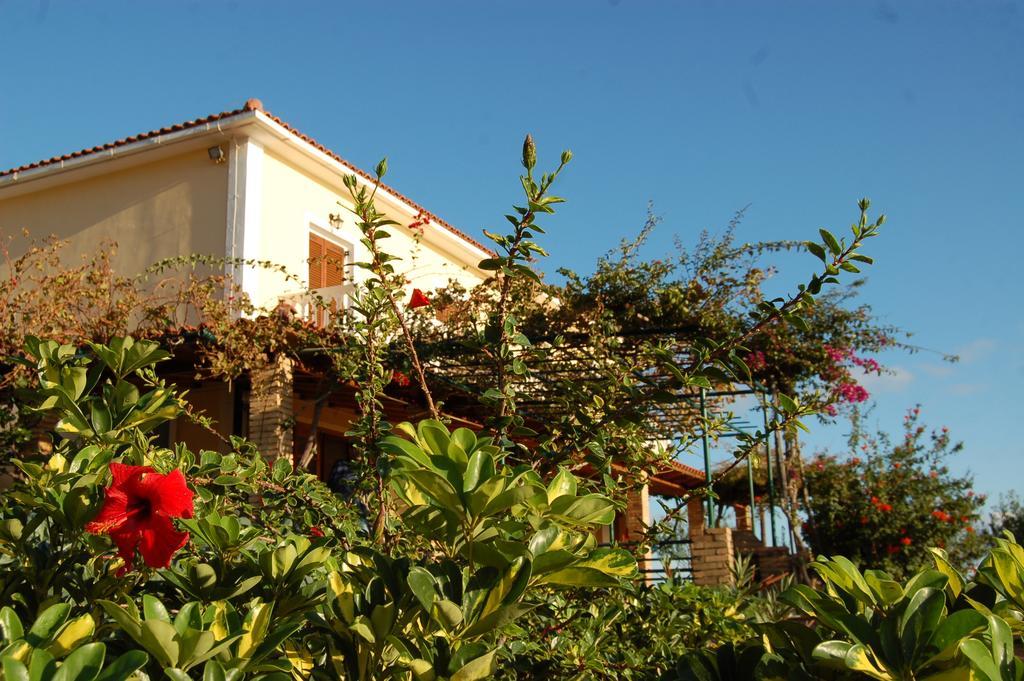 Panorama Apartments Updated With Infinity Pool Agios Nikolaos  Camera foto